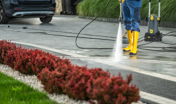 Best Deck Cleaning Services  in Elkins Rk, PA