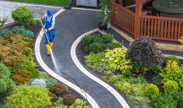 Best Roof Pressure Washing  in Elkins Rk, PA